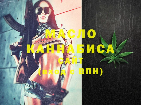 дмт Вяземский