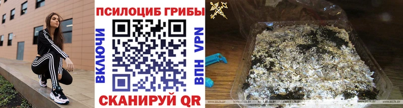 Псилоцибиновые грибы GOLDEN TEACHER  Коломна 